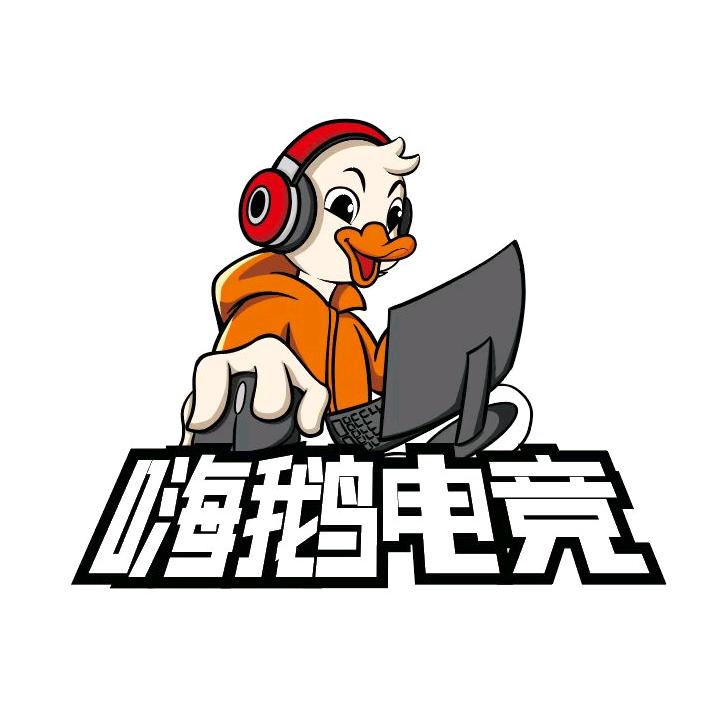 嗨鹅电竞(岗顶旗舰店)