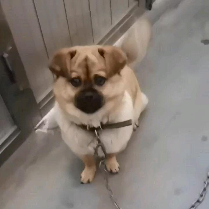 一盏清茶512（舍得）🇨🇳