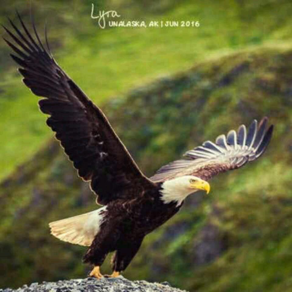 💞幸福的一家人🍎