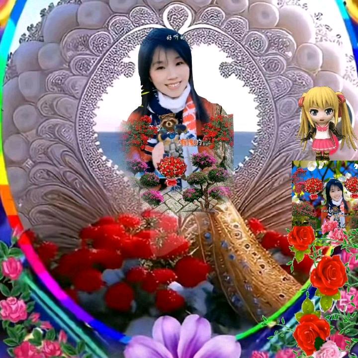 真心真爱