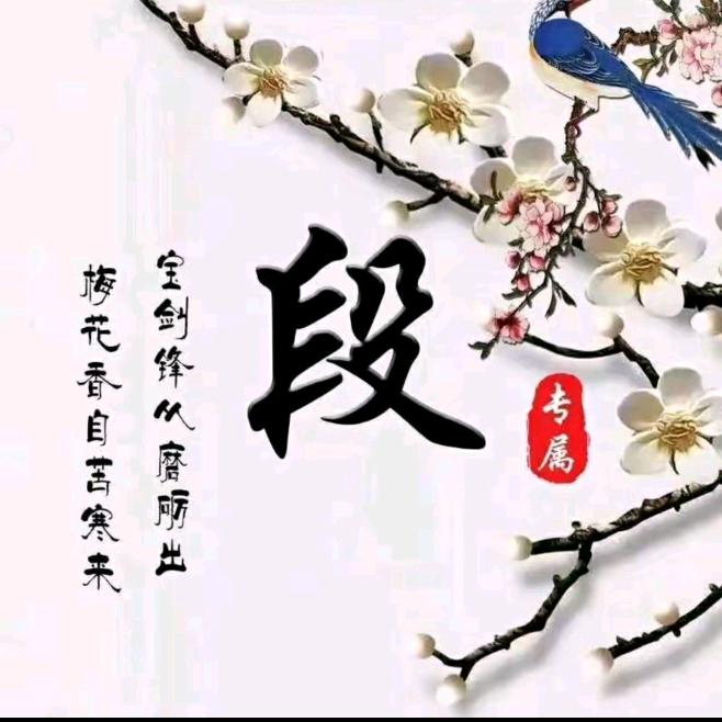 段德鑫（会长）