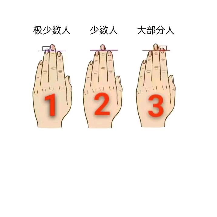 用户912359909246