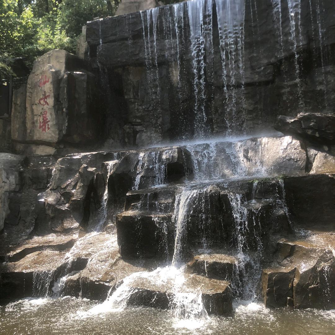 🌈✨笑看🐳任生✨