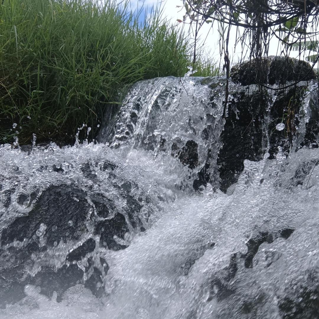 小张严选