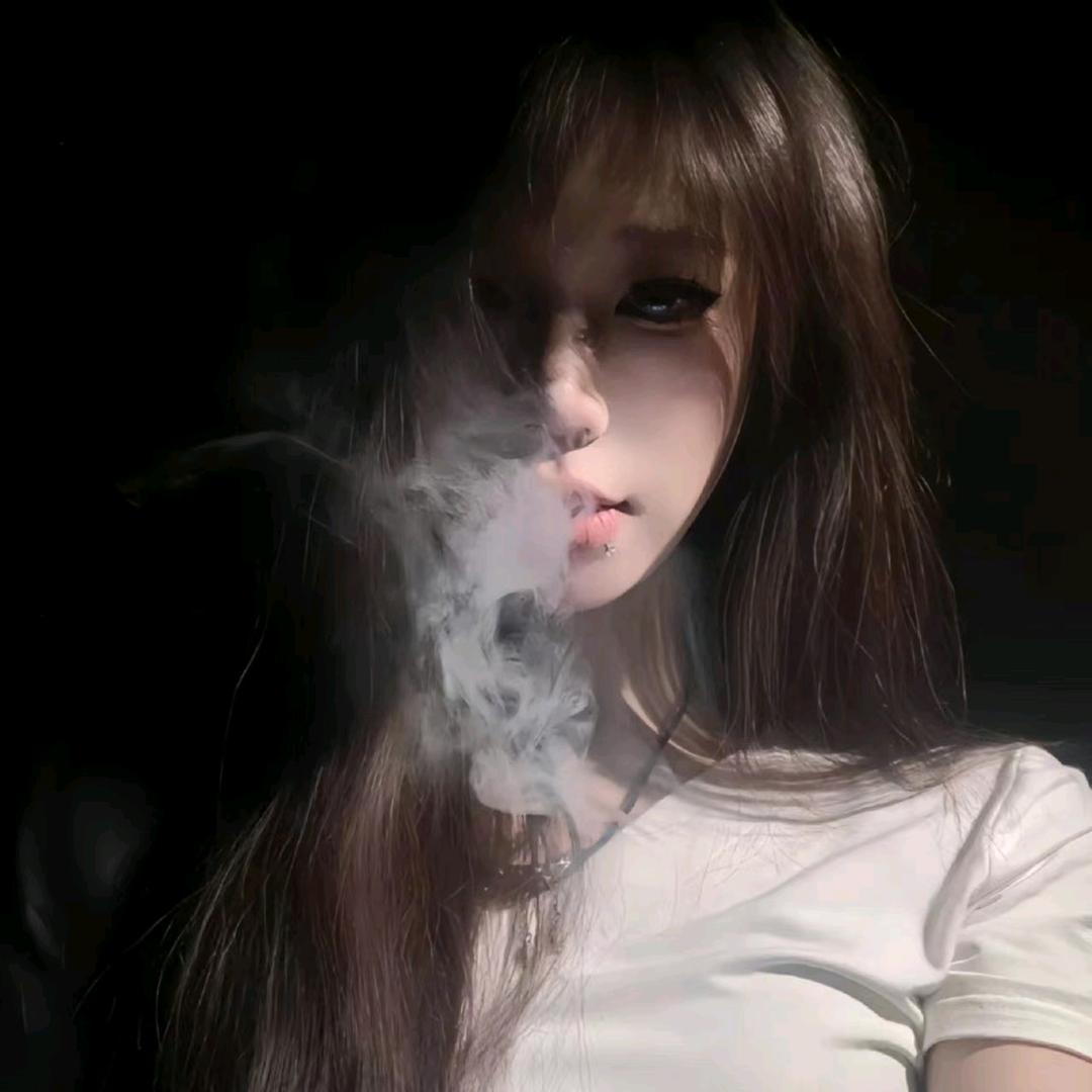 猫猫