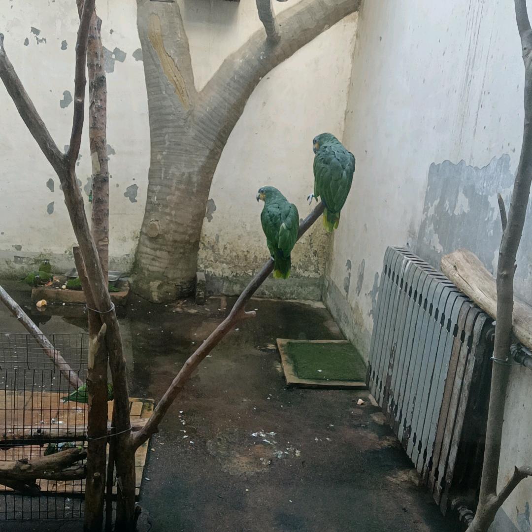 余生有你🌹老头快乐营💋