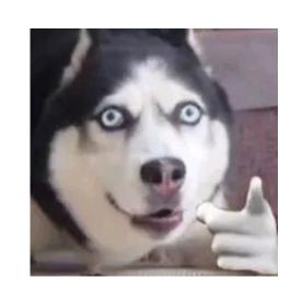 抖音CF你该带憨