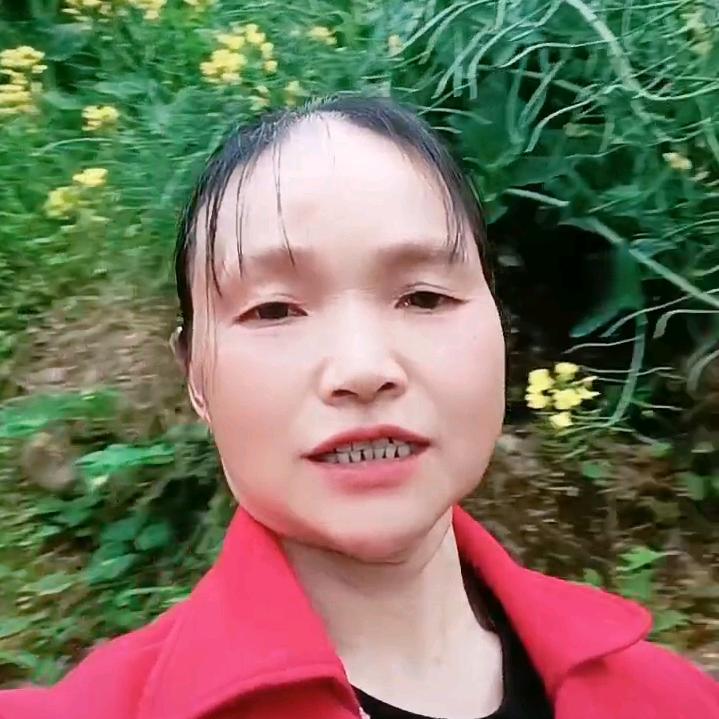 玉红（直播不定时