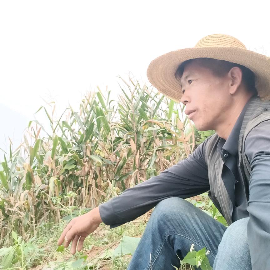 时来运转