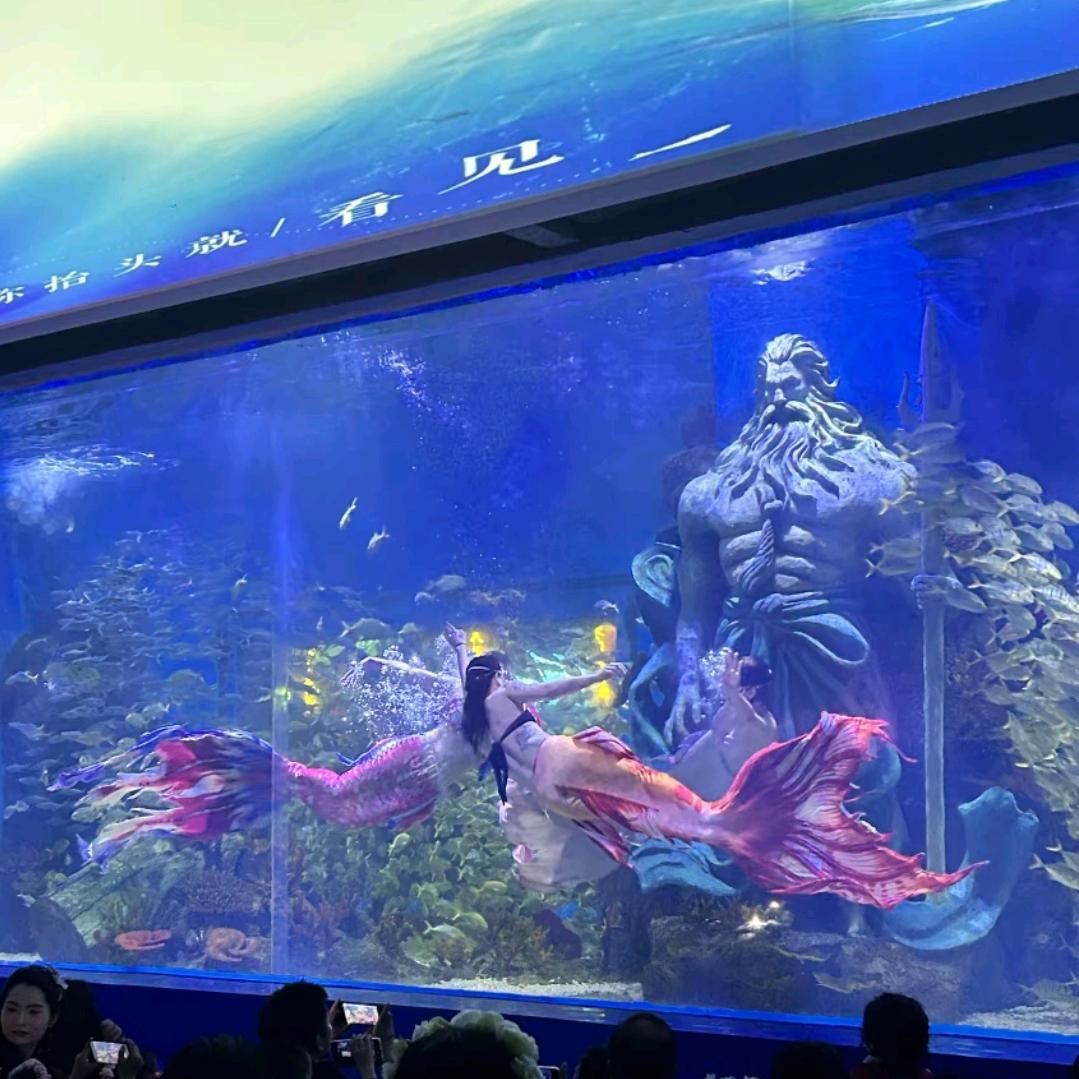 海趣花都海洋世界—主持人
