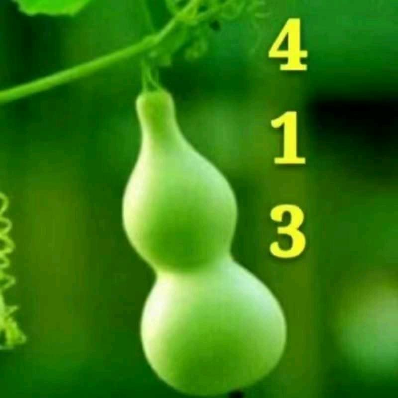 吉祥如意413