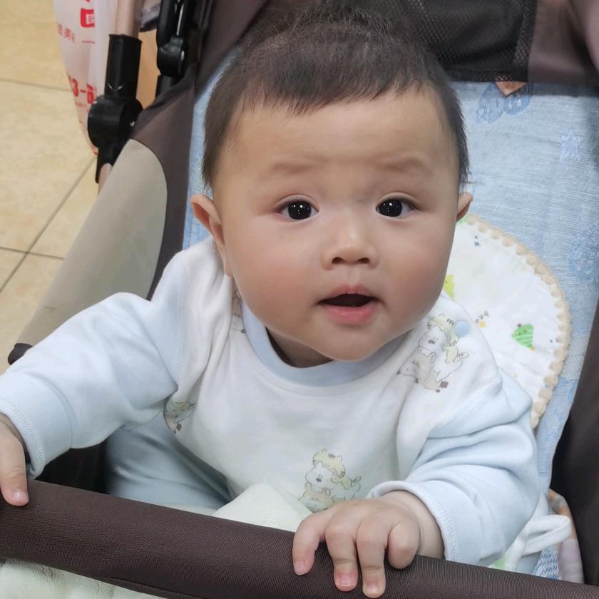 吴泰舟