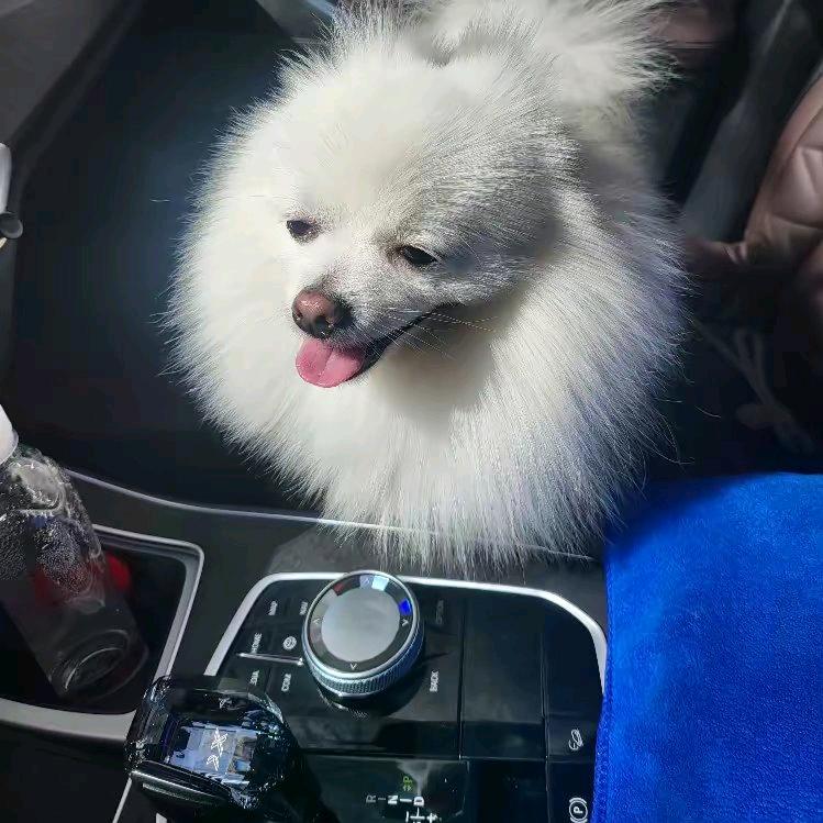 博文传媒