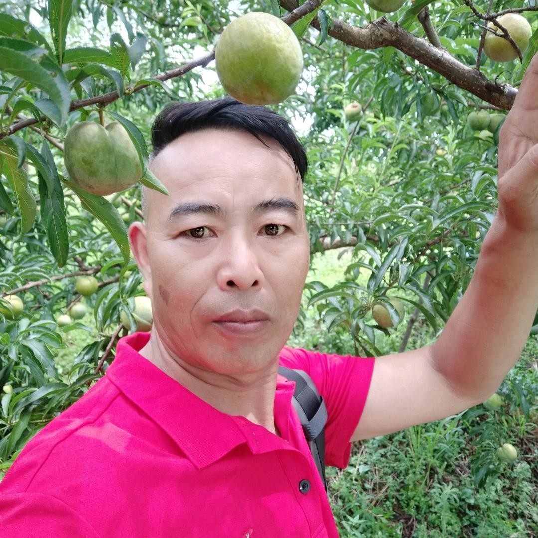 小孟