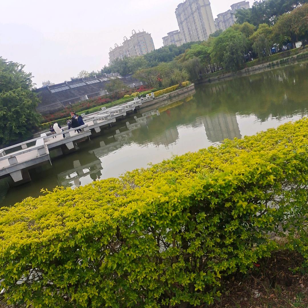 匆匆那年
