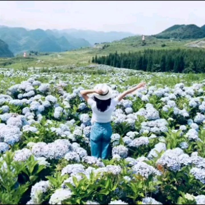 看破红尘，看透你