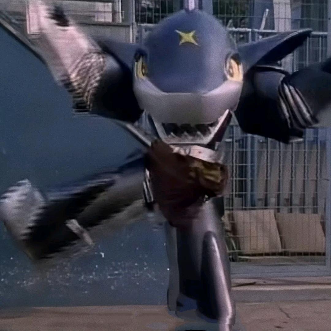 🦈鲨鱼辣椒🌶️