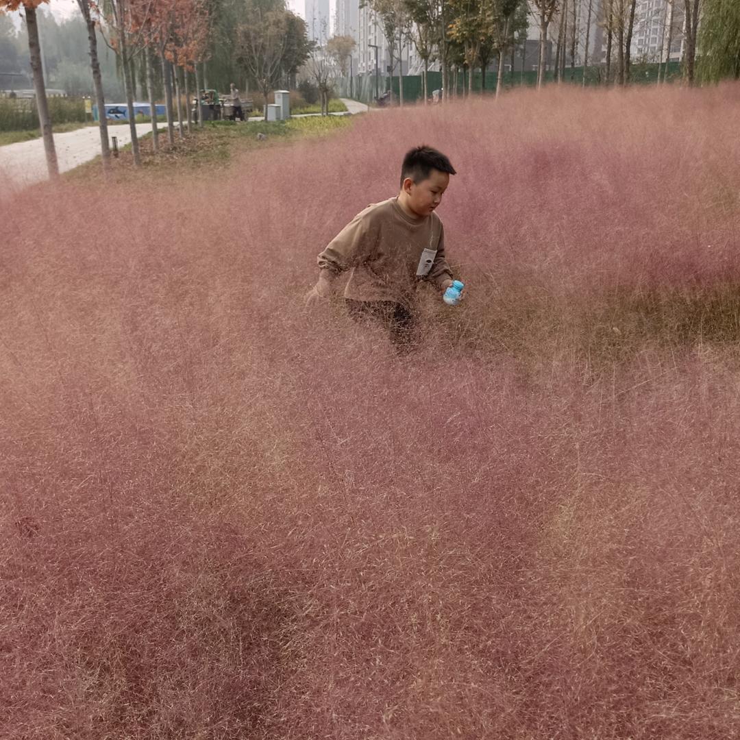 百分