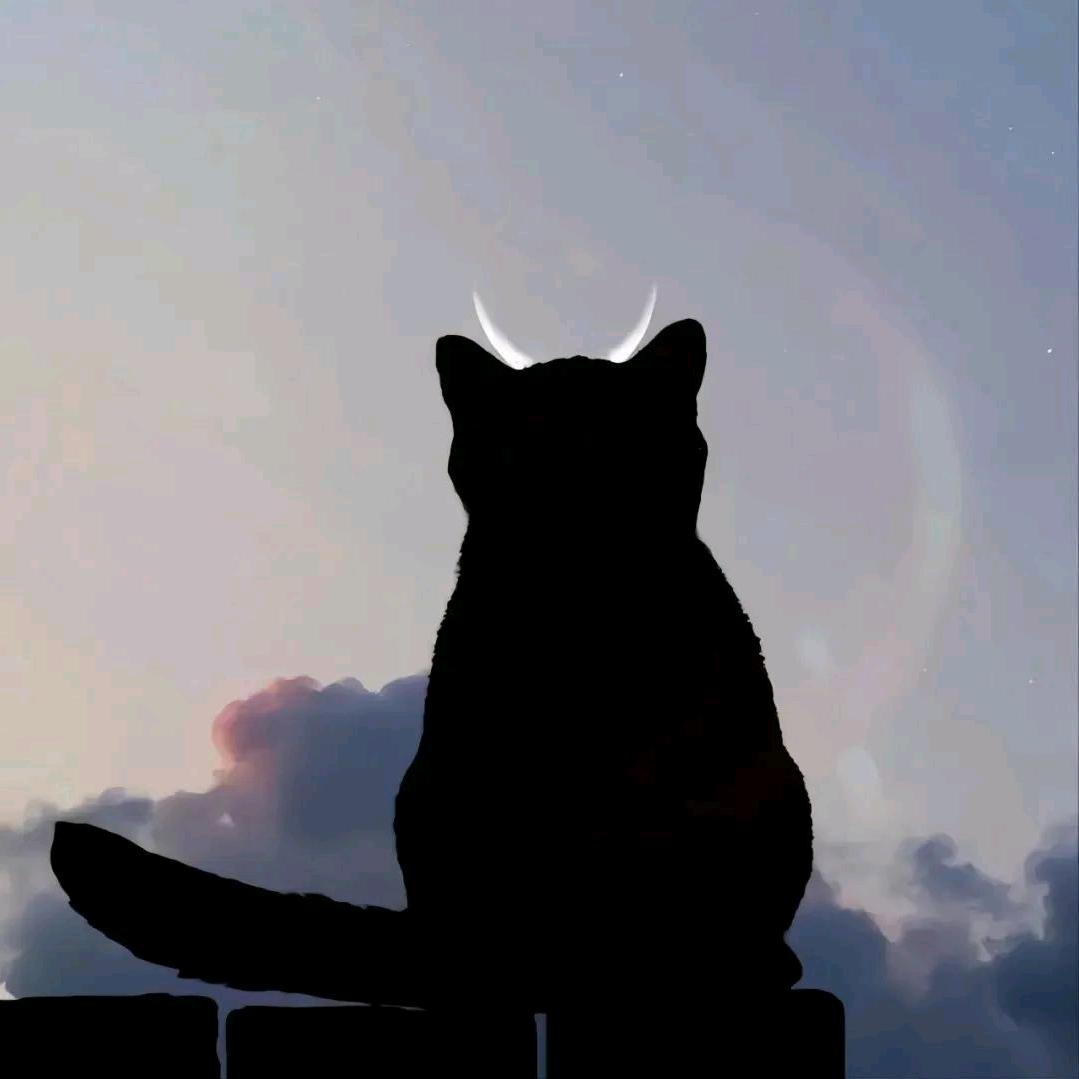 清酒.