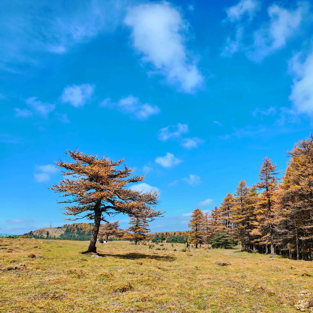 ✌︎˶╹ꇴ╹˶✌︎