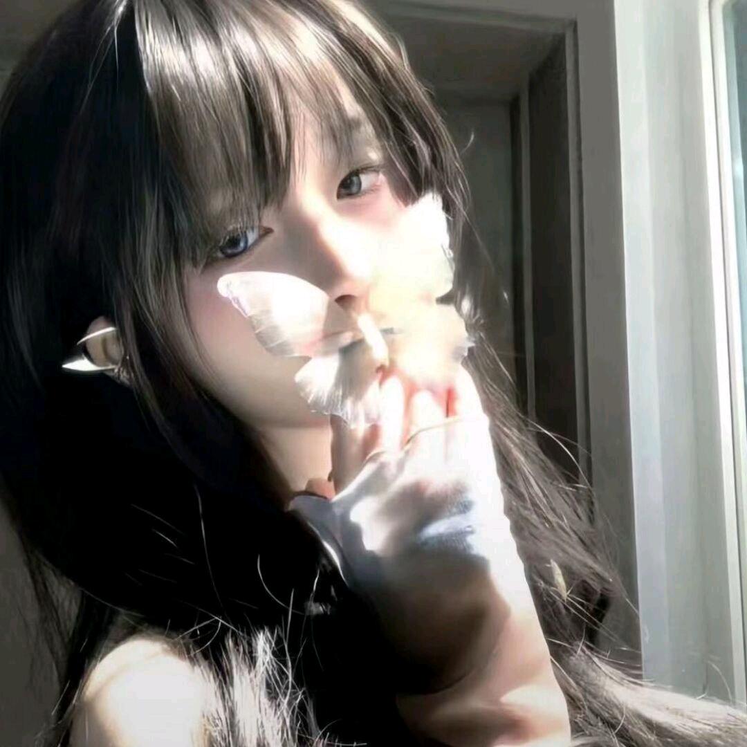呆呆酱