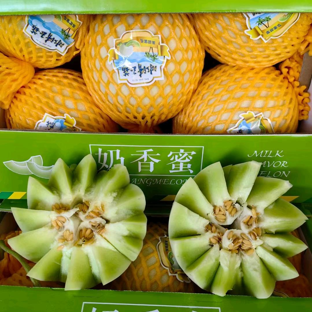 蜜瓜缘