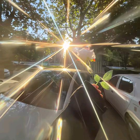 @ℒฺℴฺνℯ̶ฺ晚风