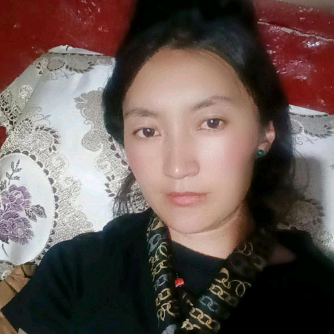 ཤིང་ལོ།