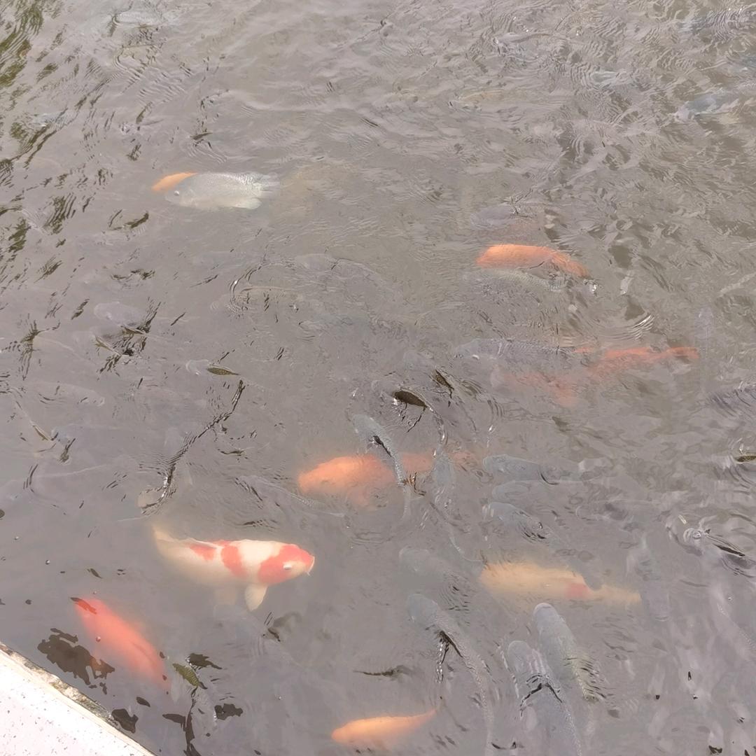 年年