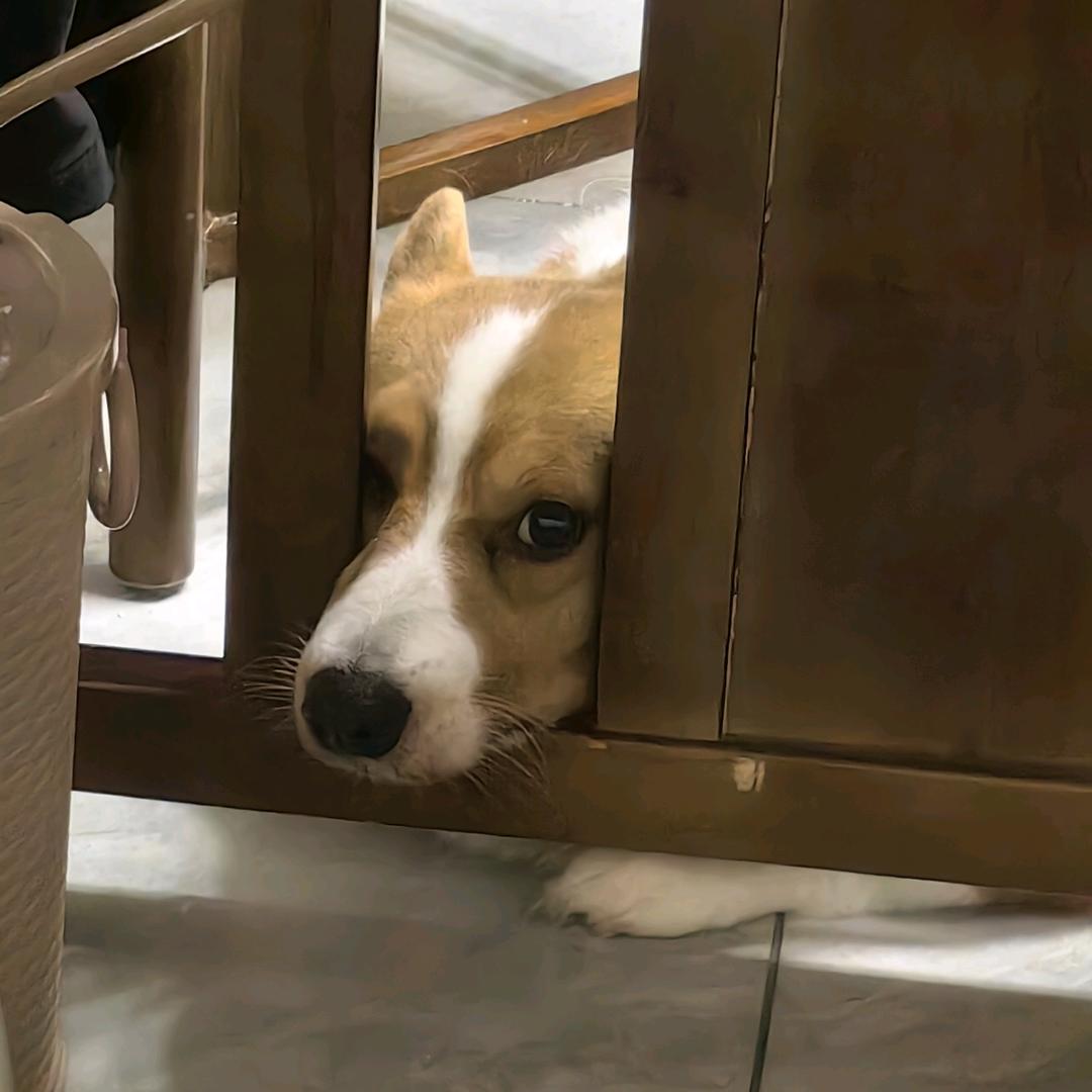 欻