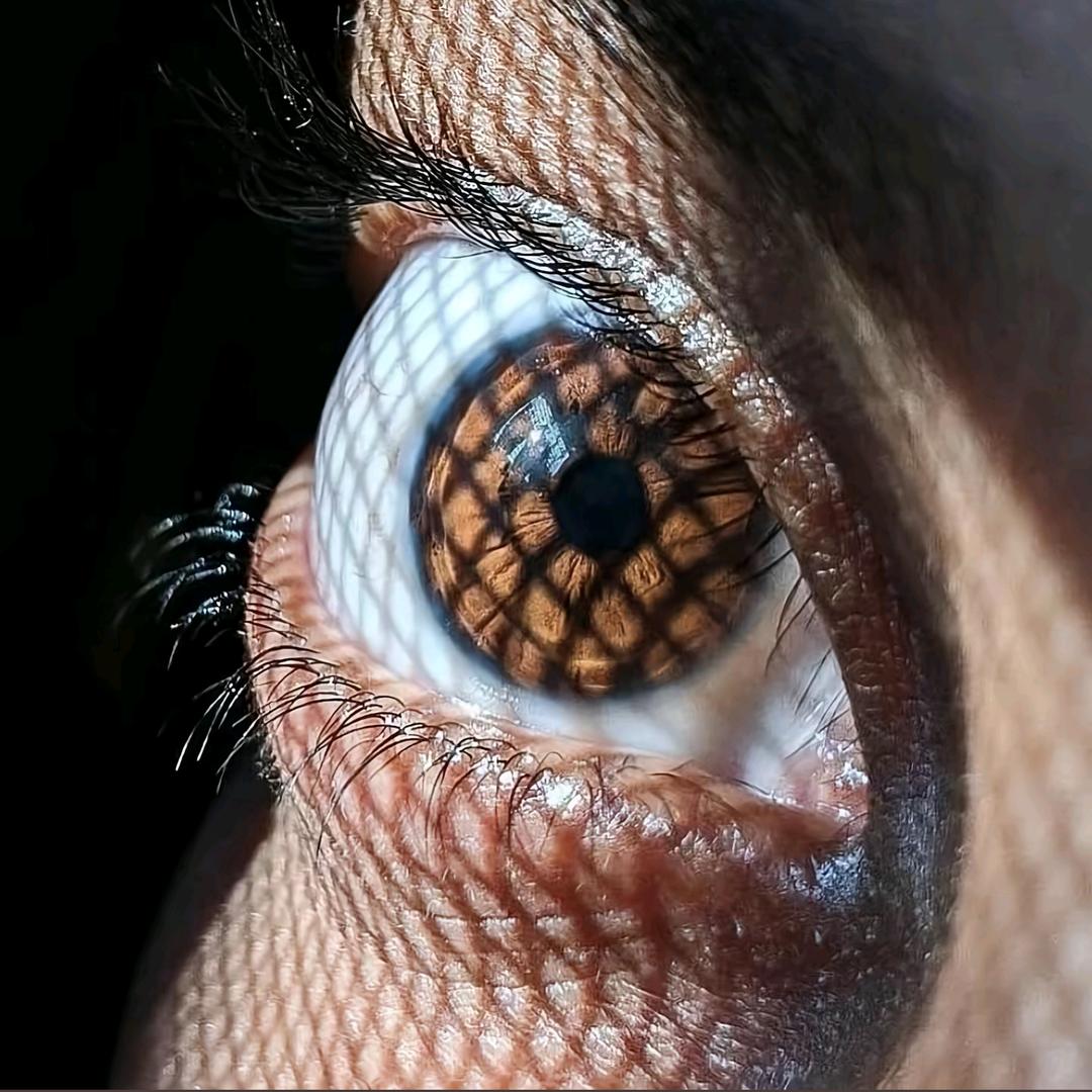蝼蚁