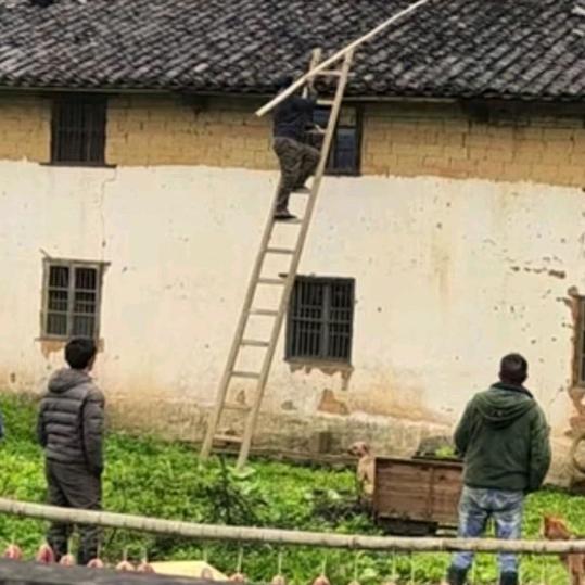 百利