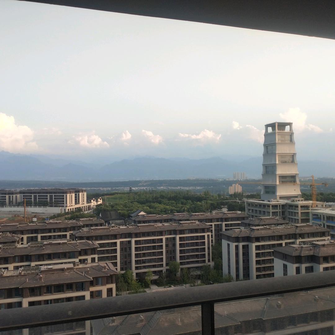 摩根