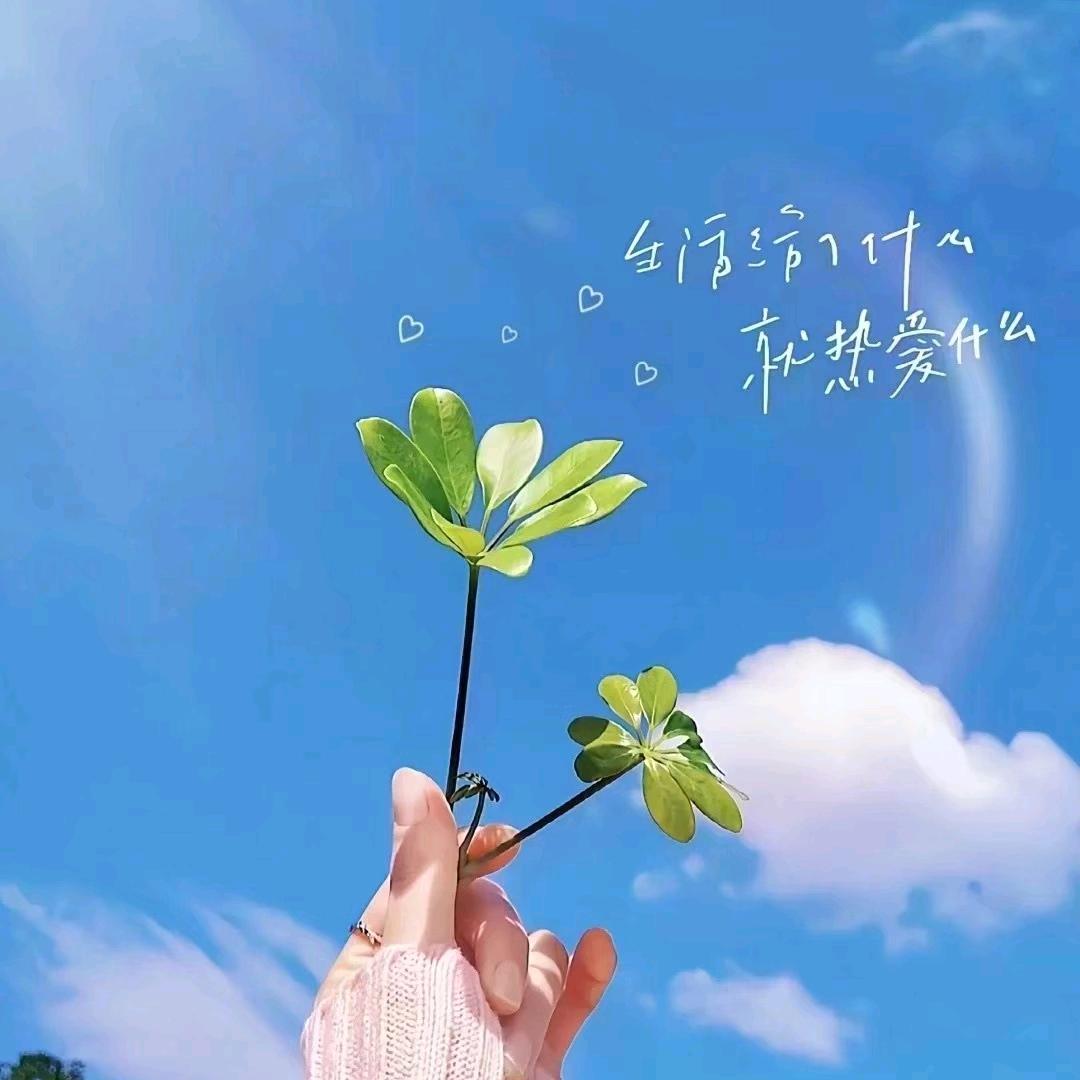 念安