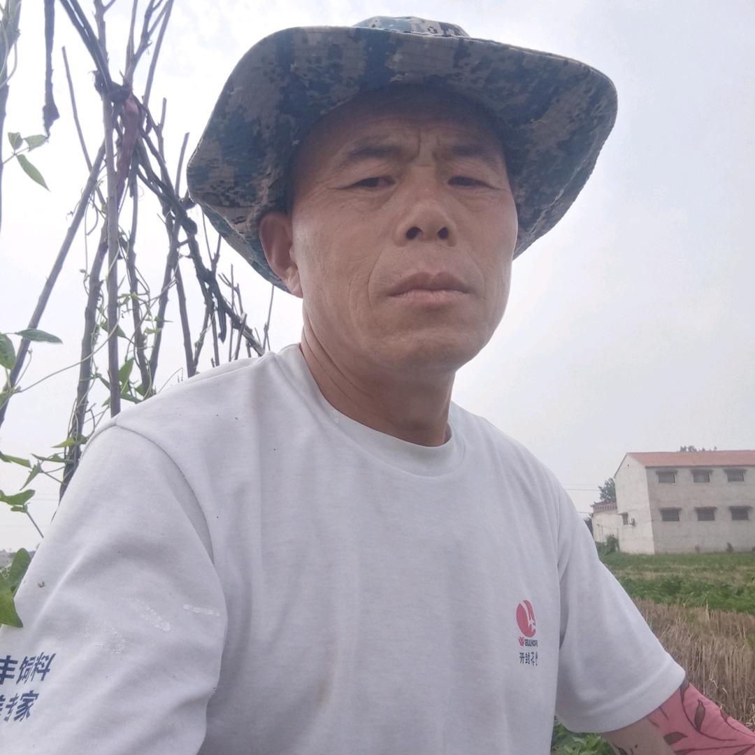 三哥歌