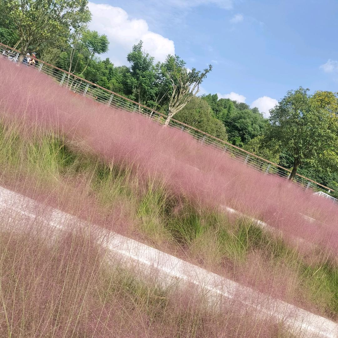 周国