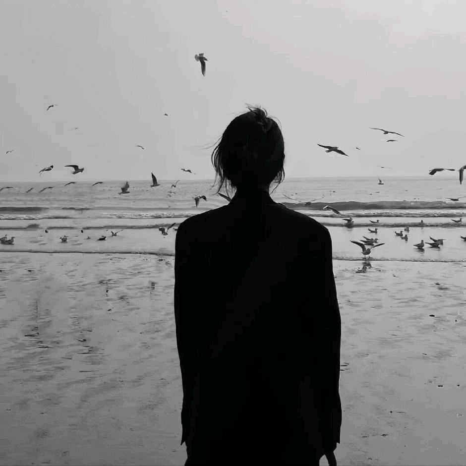 晚风~