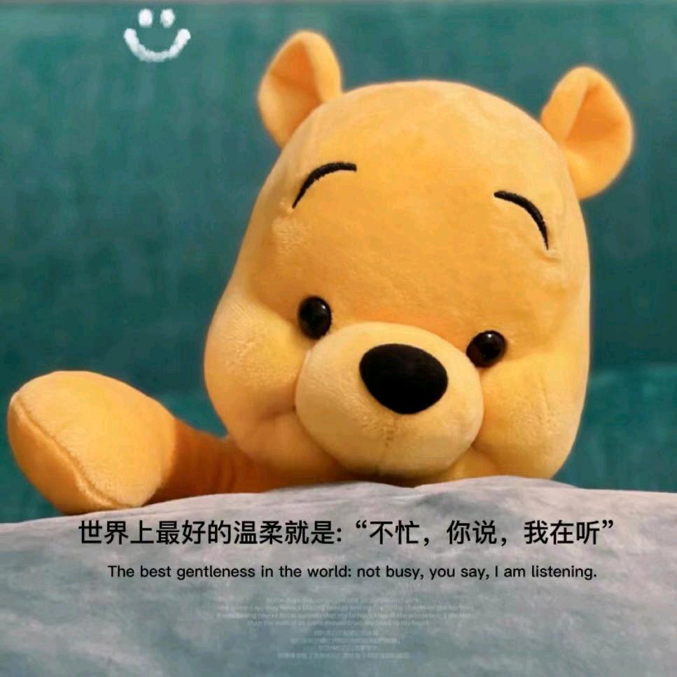 是聪聪呀