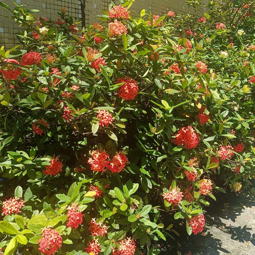 爱你非游戏