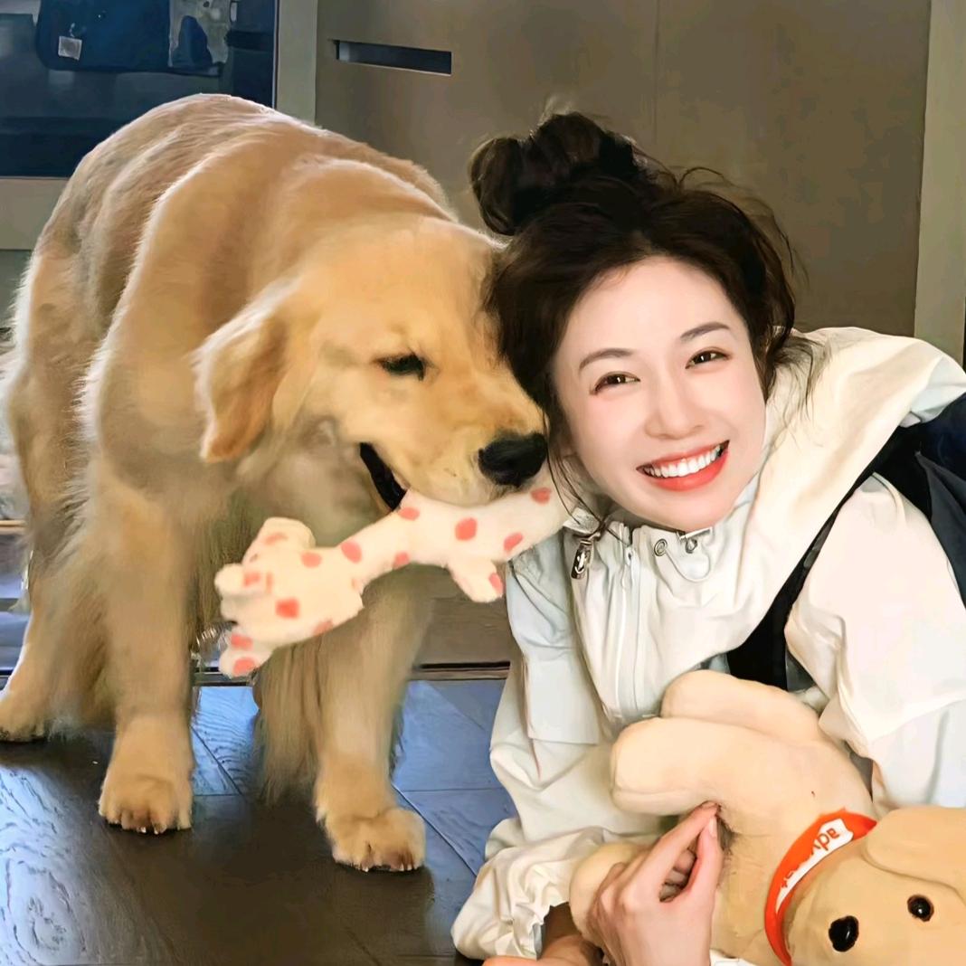 ¹只小肥猪