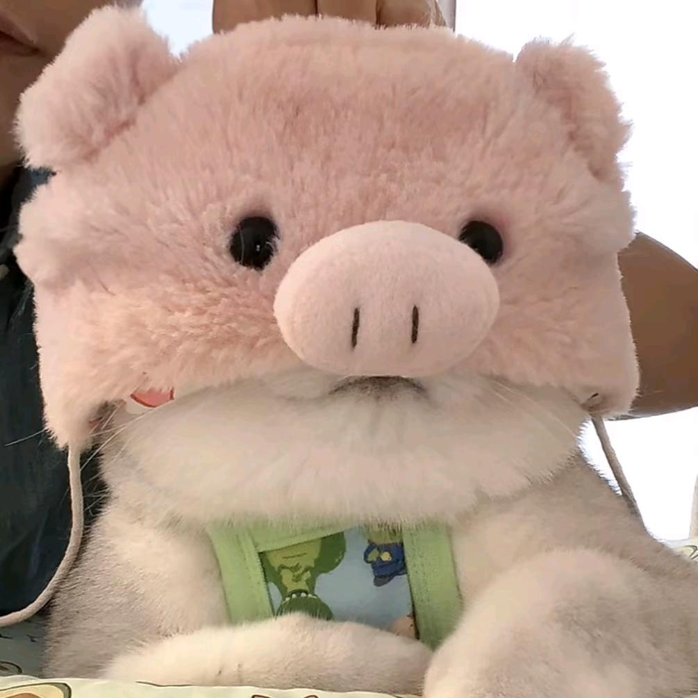 💕甜茶