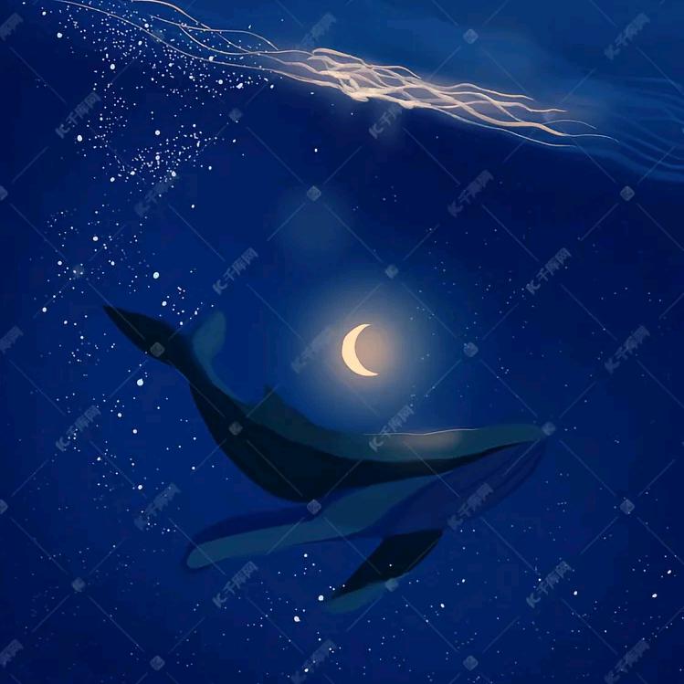 ᝰꫀꪶડ꧖ꦿ🐋