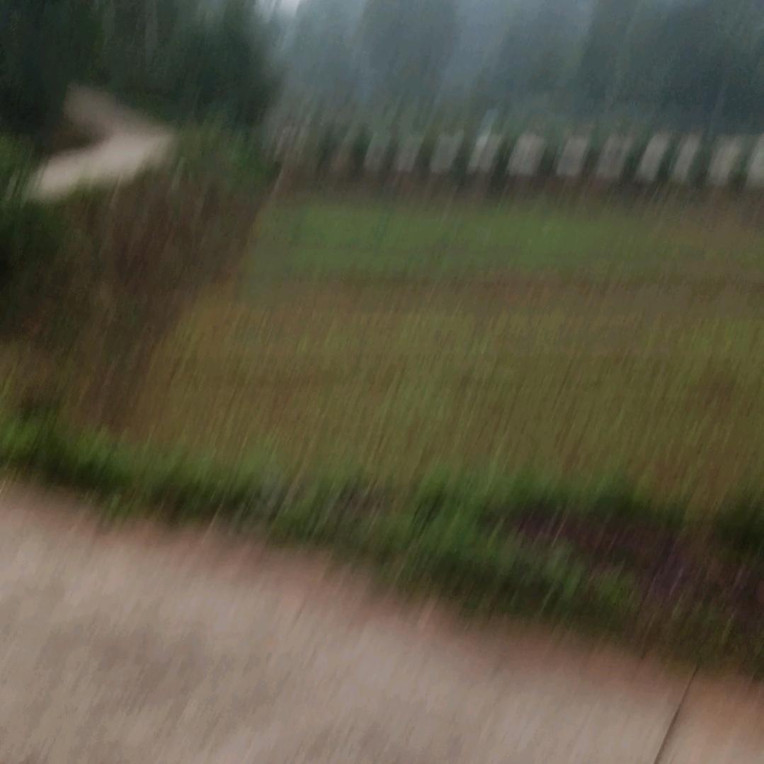 你永远不懂我
