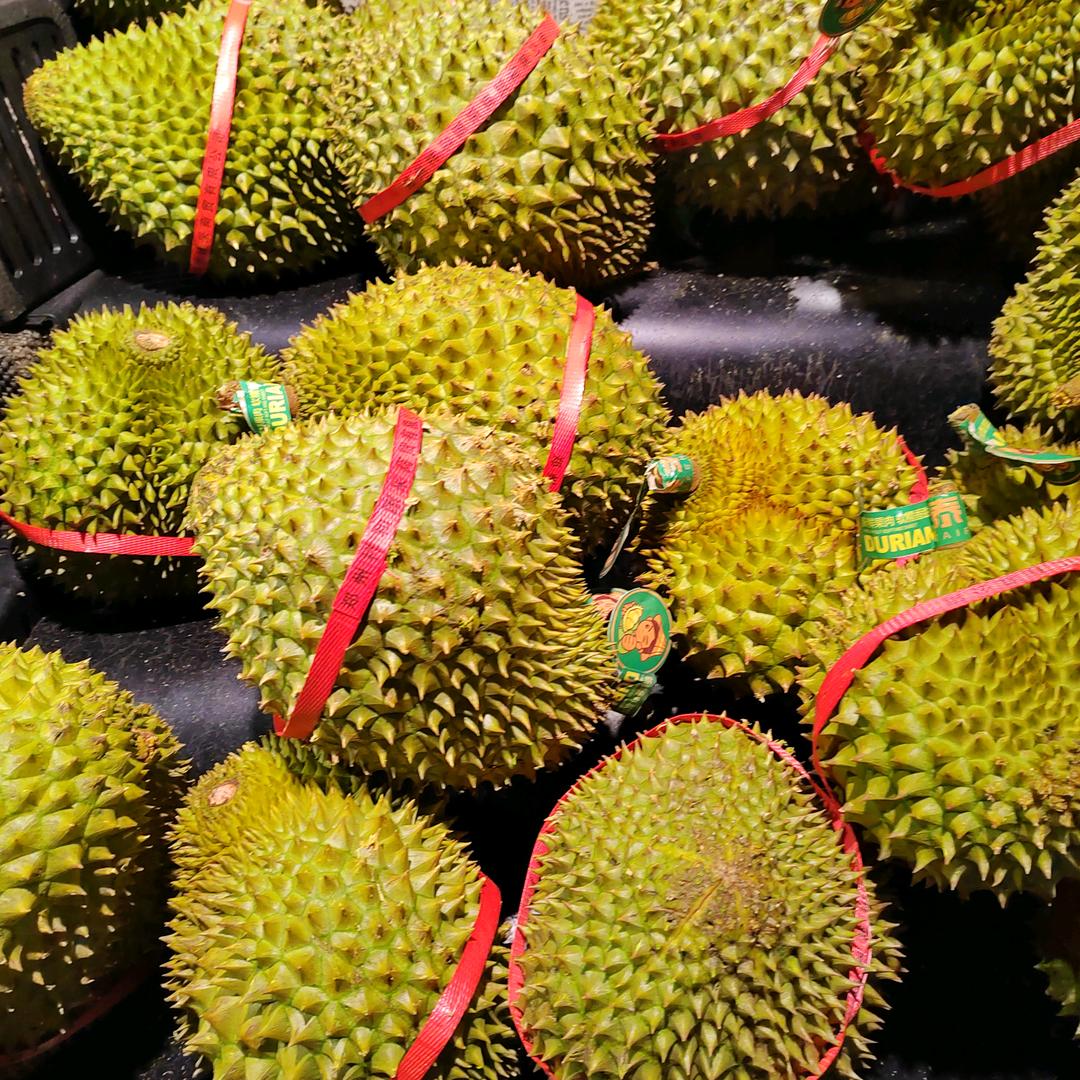 榴莲小黑哥