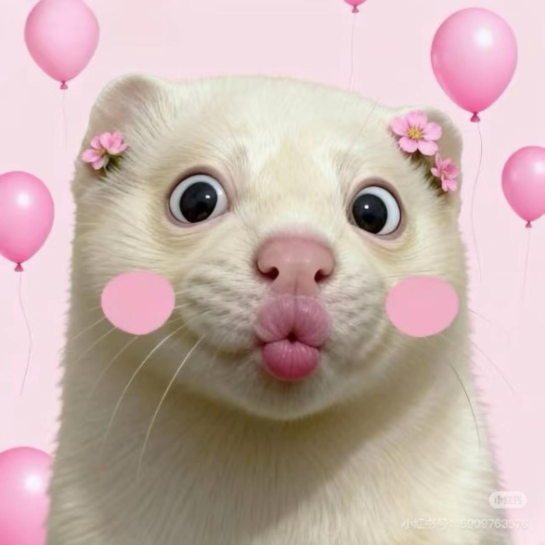 玥榕小姐姐🧚‍♀️