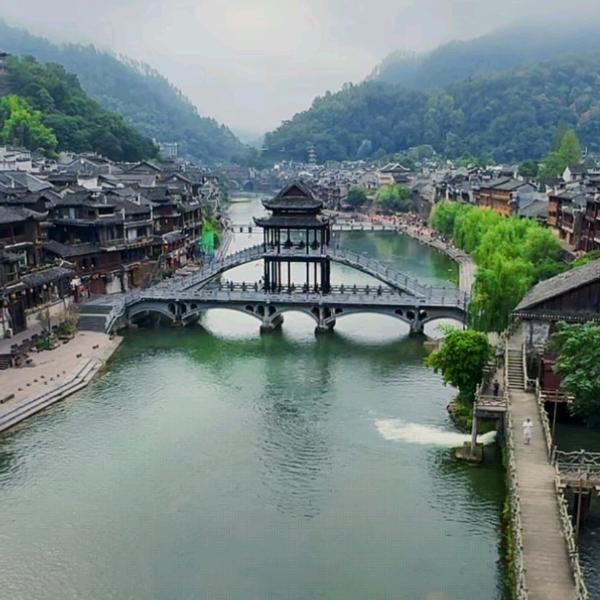 焦林夜雨