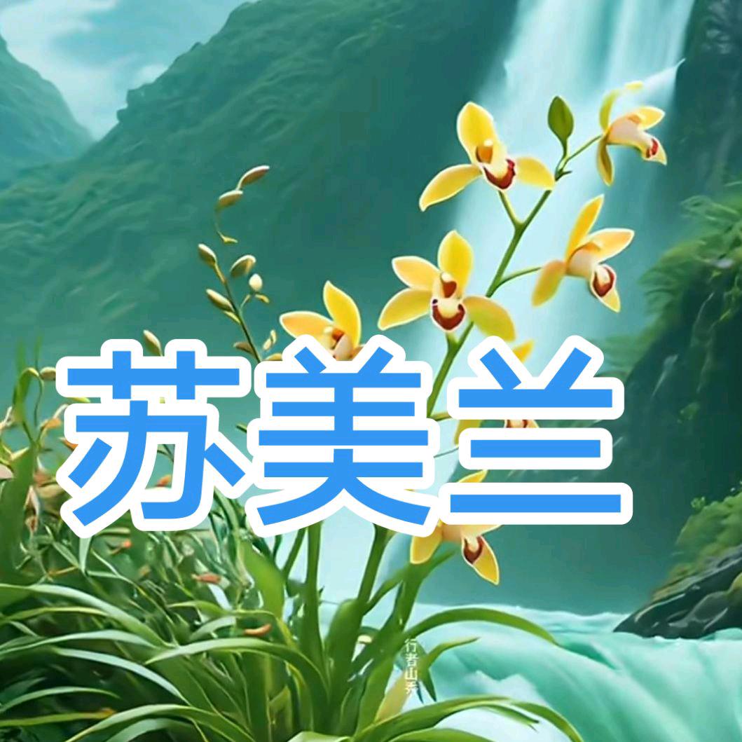 揭露肮脏家庭婚姻后代丑陋嘴脸