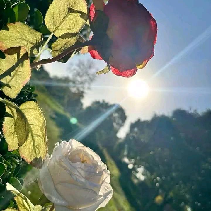 帅气不是我的范