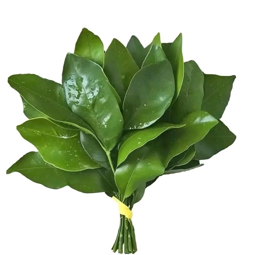 嘤嘤嘤～
