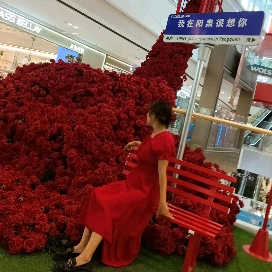 霞姐的朋友圈